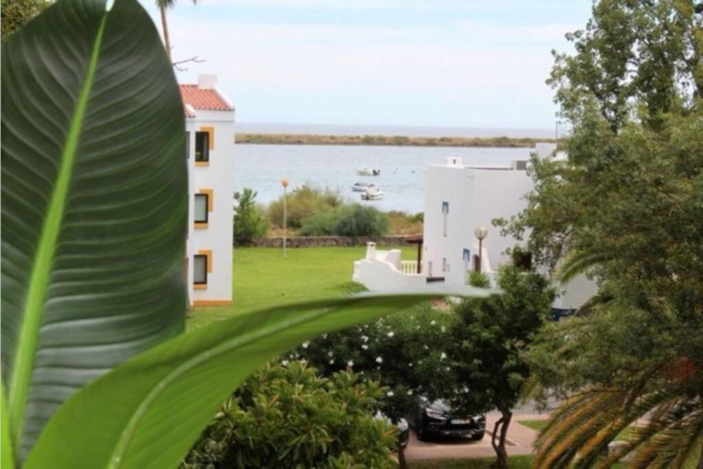 Apartament Terrace Of The Sea Tavira Zewnętrze zdjęcie